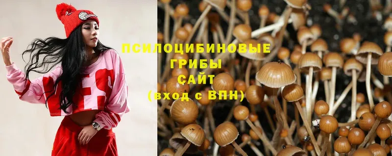 Галлюциногенные грибы Magic Shrooms  MEGA сайт  Венёв 